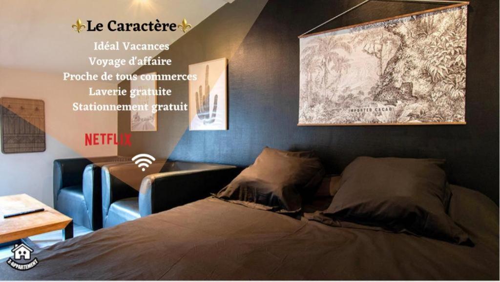 Le Caractere - Centre Ville- Wifi- Parking นีออร์ ภายนอก รูปภาพ